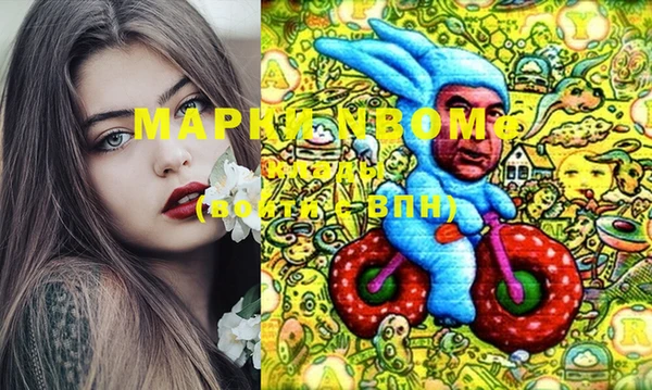индика Баксан