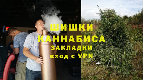 индика Баксан