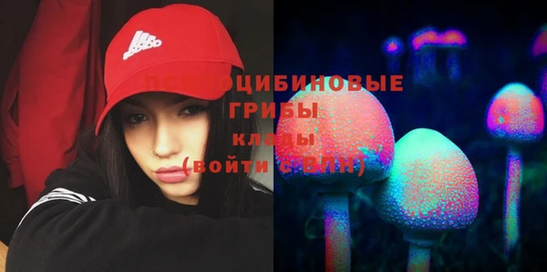 индика Баксан