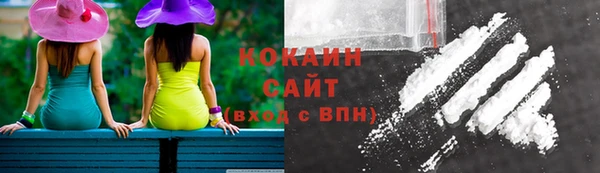 соль ск Рославль
