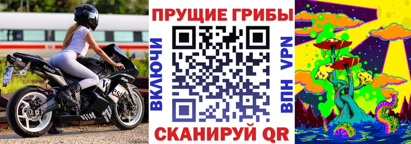 Галлюциногенные грибы GOLDEN TEACHER  наркотики  Богородицк 